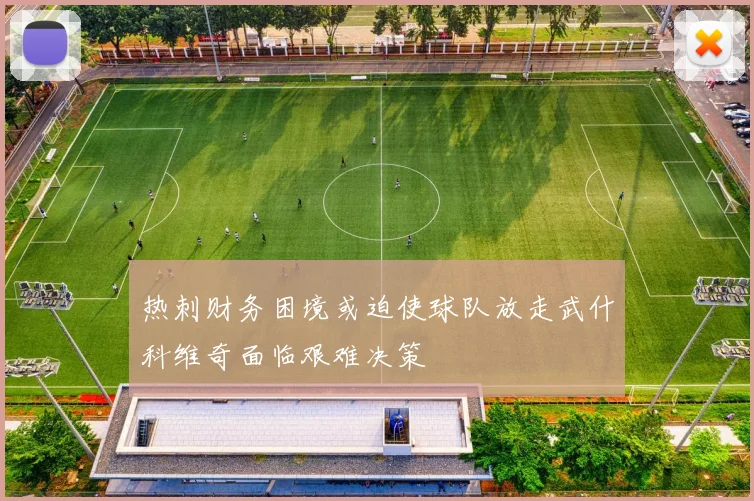 热刺财务困境或迫使球队放走武什科维奇面临艰难决策
